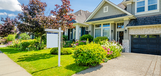 house with a for sale sign on the front lawn